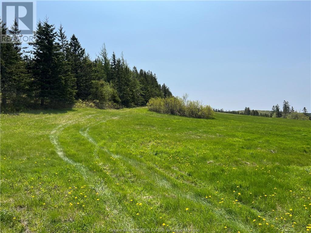 For sale 246 Poodiac RD, Hammondvale, New Brunswick E4E5G5 M157406