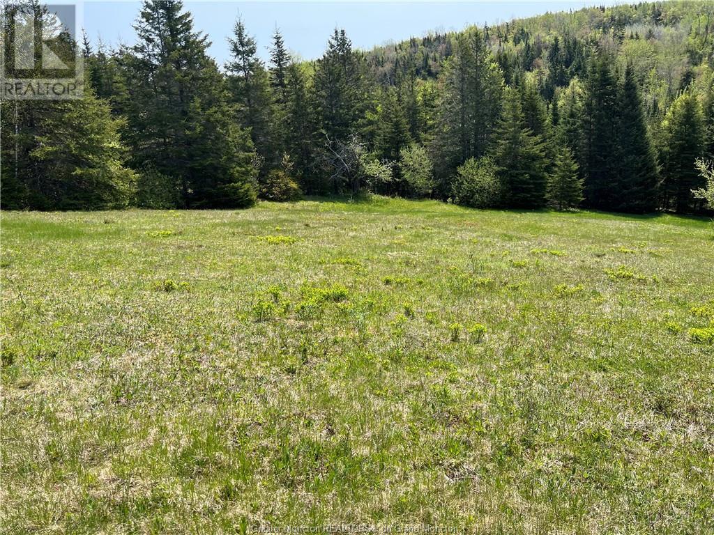 For sale 246 Poodiac RD, Hammondvale, New Brunswick E4E5G5 M157406