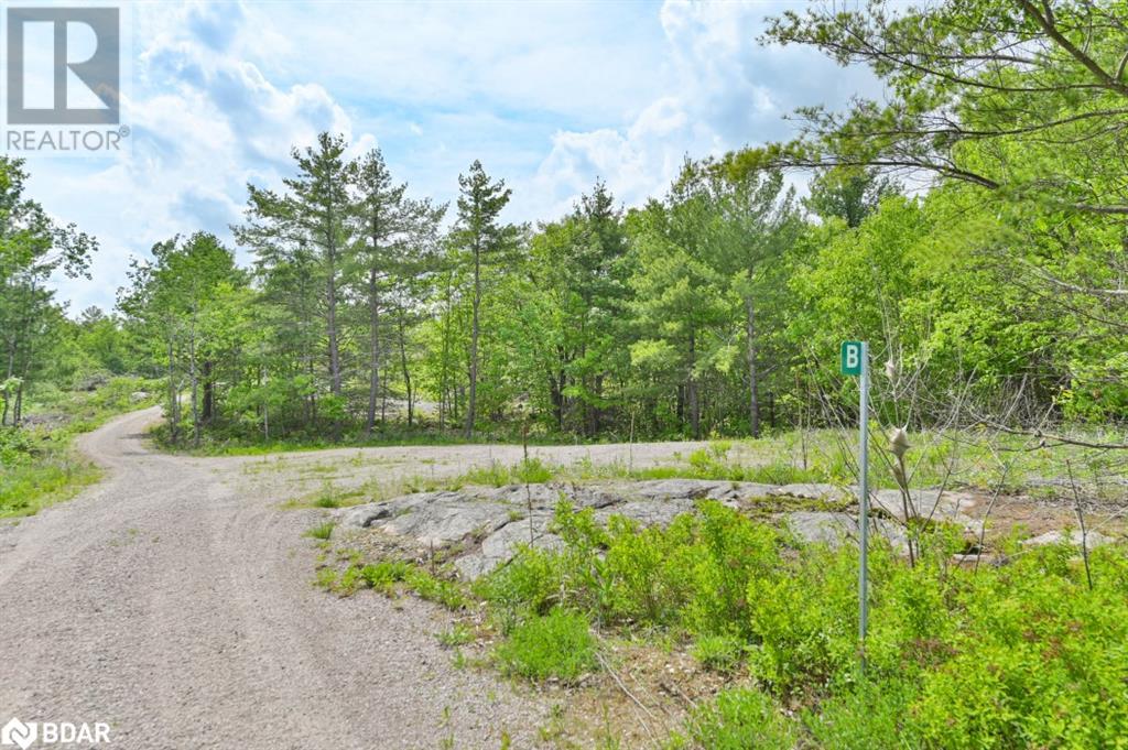 For sale: 10450B HIGHWAY 41, Kaladar, Ontario K0K1Z0 - 40594934 ...