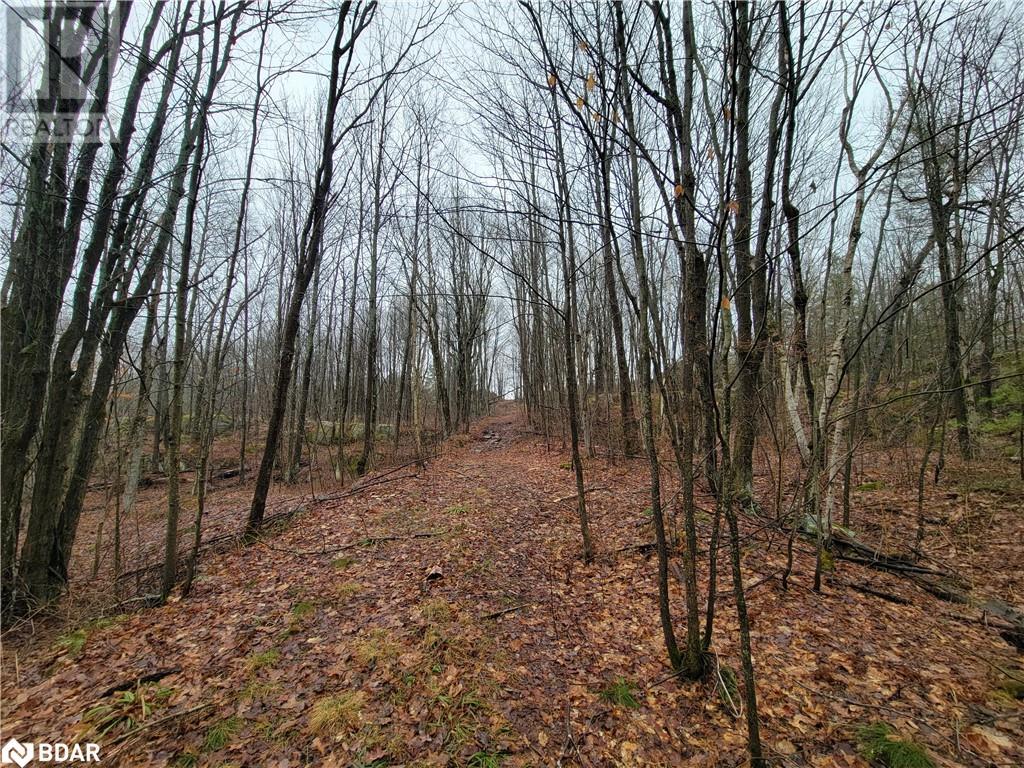 For sale 10450B HIGHWAY 41, Kaladar, Ontario K0K1Z0 40594934