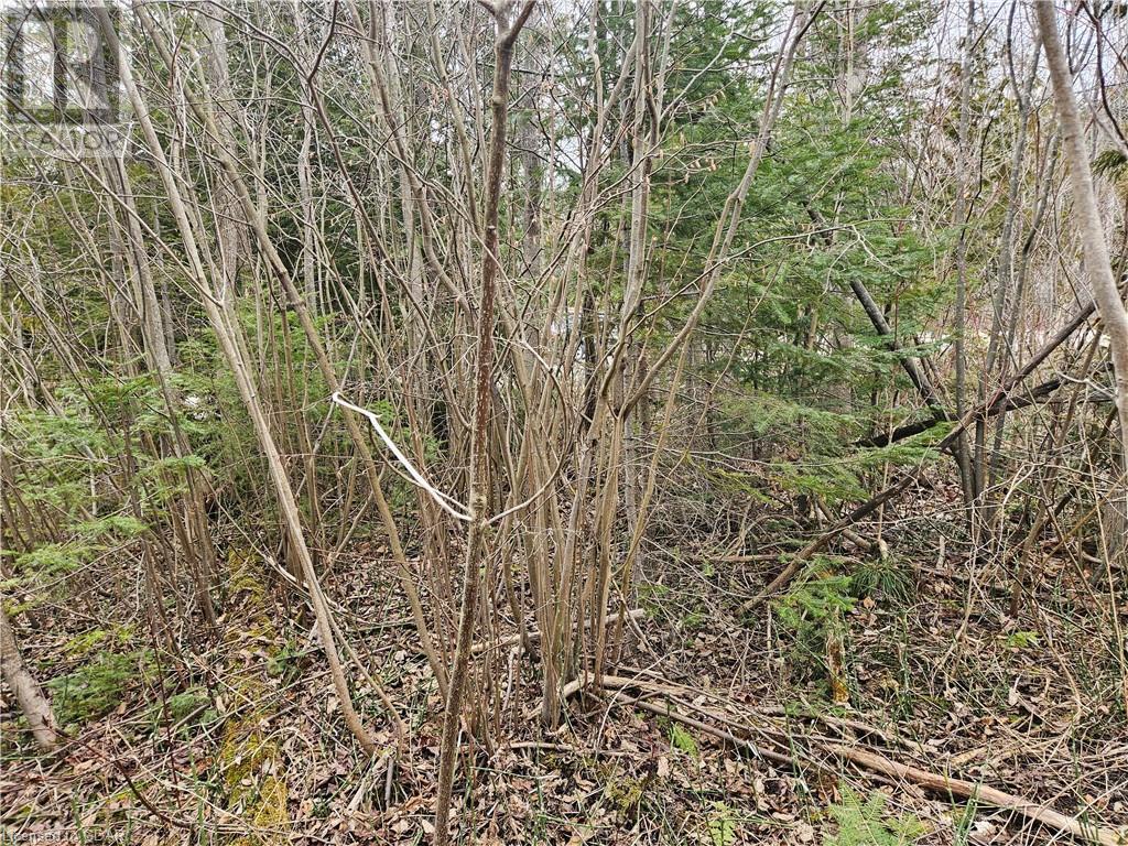 For sale 35 HARDWICK COVE Road, Lion's Head, Ontario N0H1W0 40619124