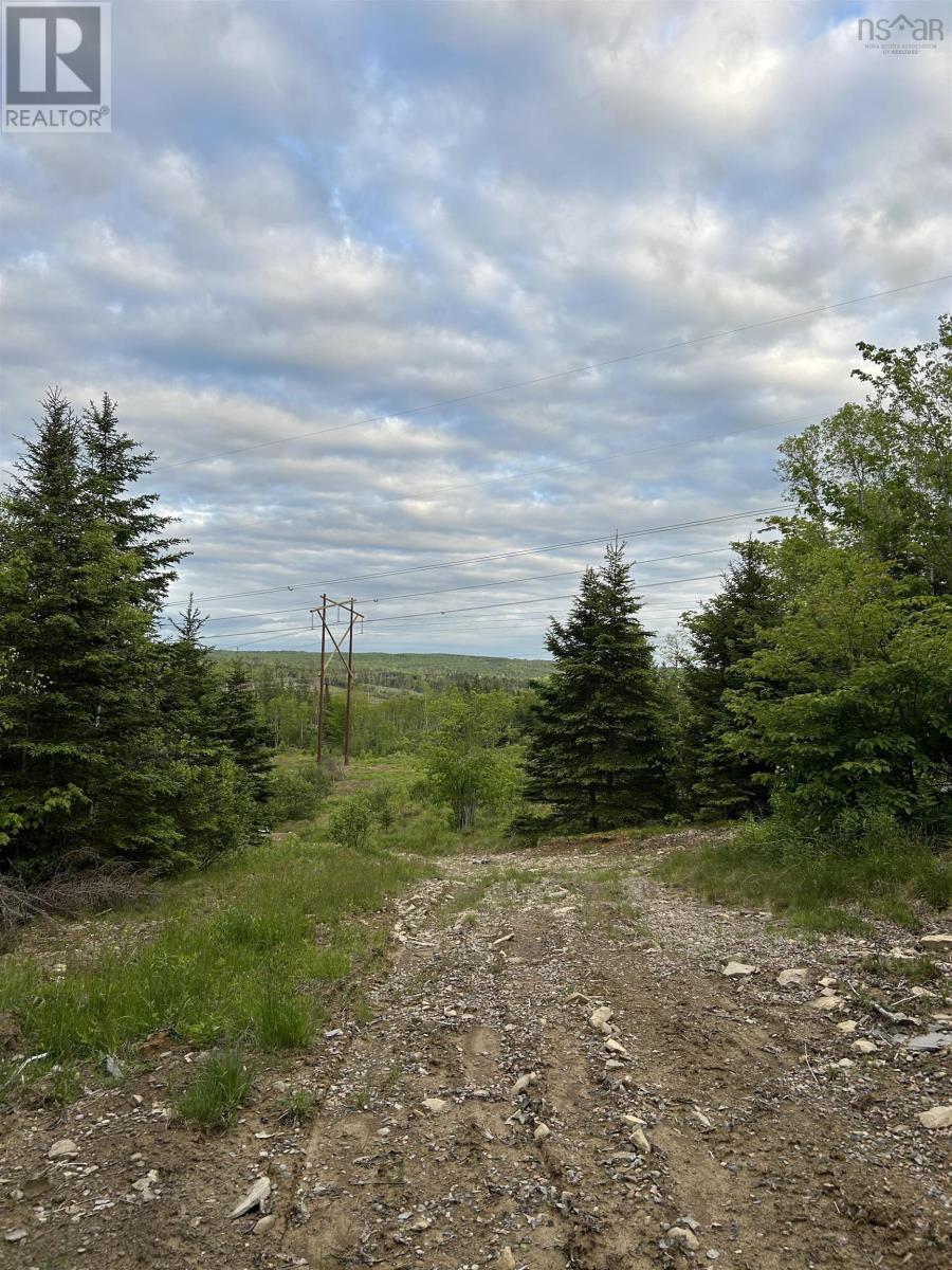 For sale Highway 311, Upper North River, Nova Scotia B6L6J7