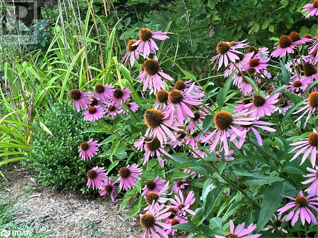 For sale 80 MARY Street, Creemore, Ontario L0M1G0 40548330 REALTOR.ca