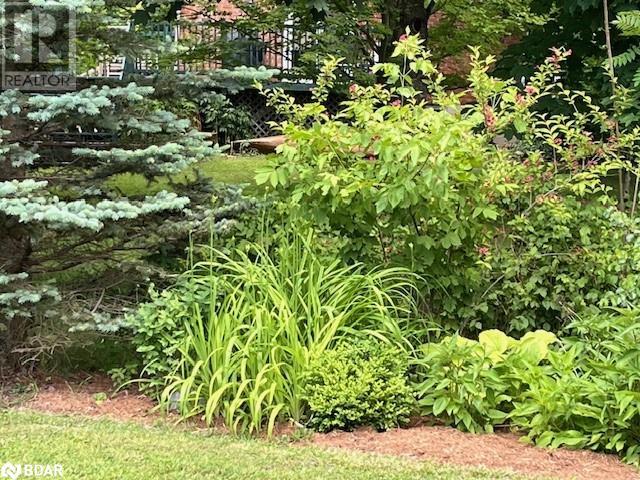 For sale 80 MARY Street, Creemore, Ontario L0M1G0 40548330 REALTOR.ca