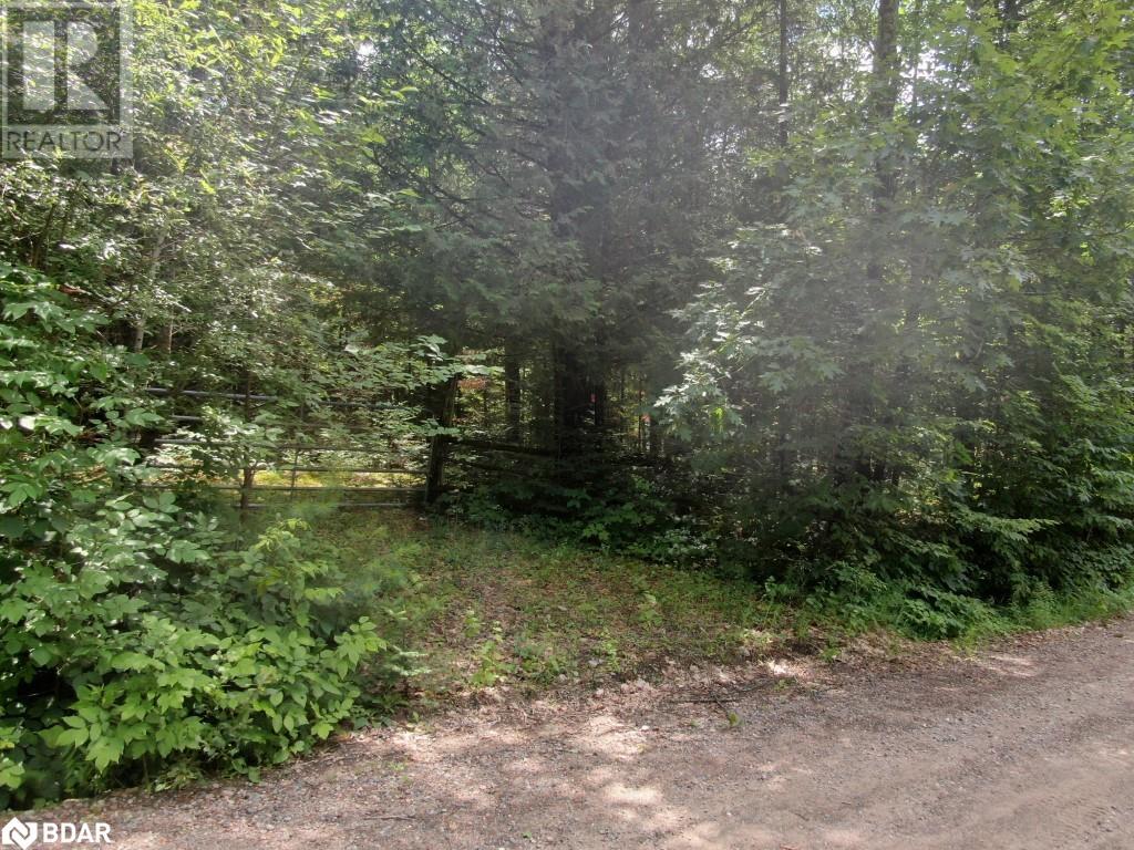 For sale 1011 A GUY WILSON Road, Boulter, Ontario K0L1C0 40620010 REALTOR.ca