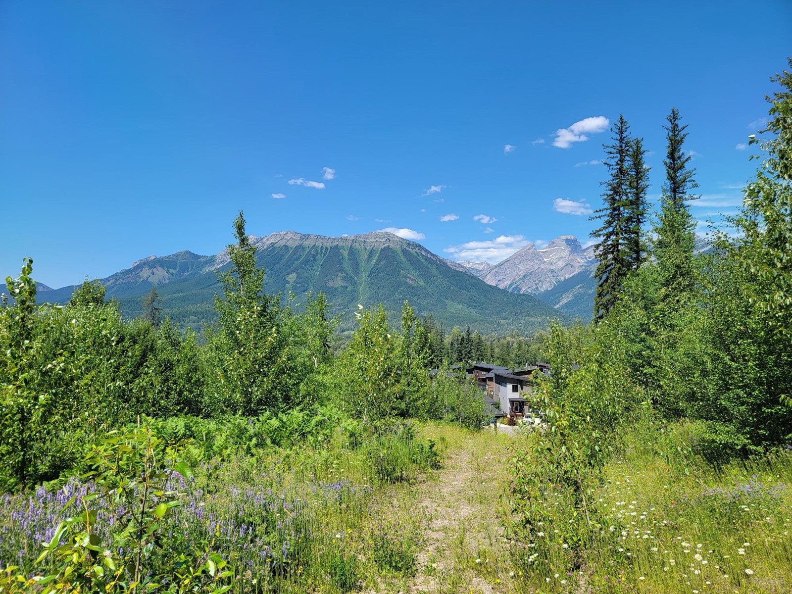 For sale Proposed Lot 89 MONTANE PARKWAY, Fernie, British Columbia