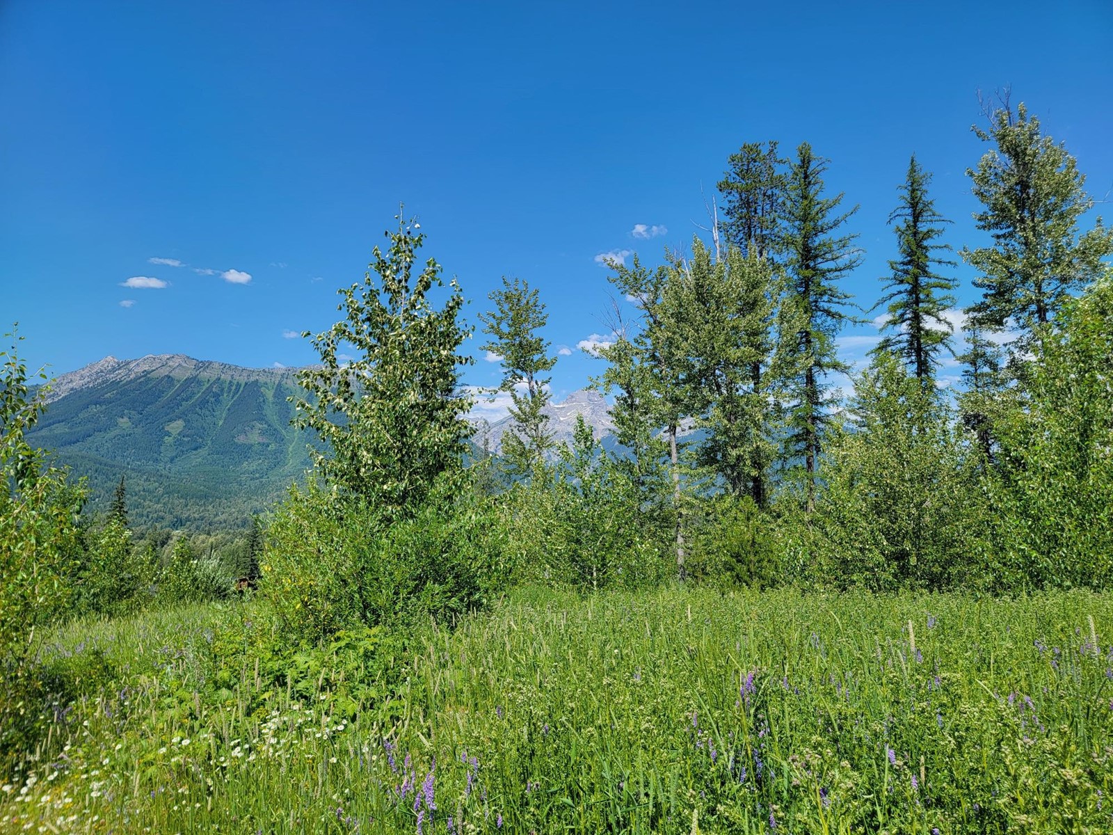 For sale Proposed Lot 90 MONTANE PARKWAY, Fernie, British Columbia