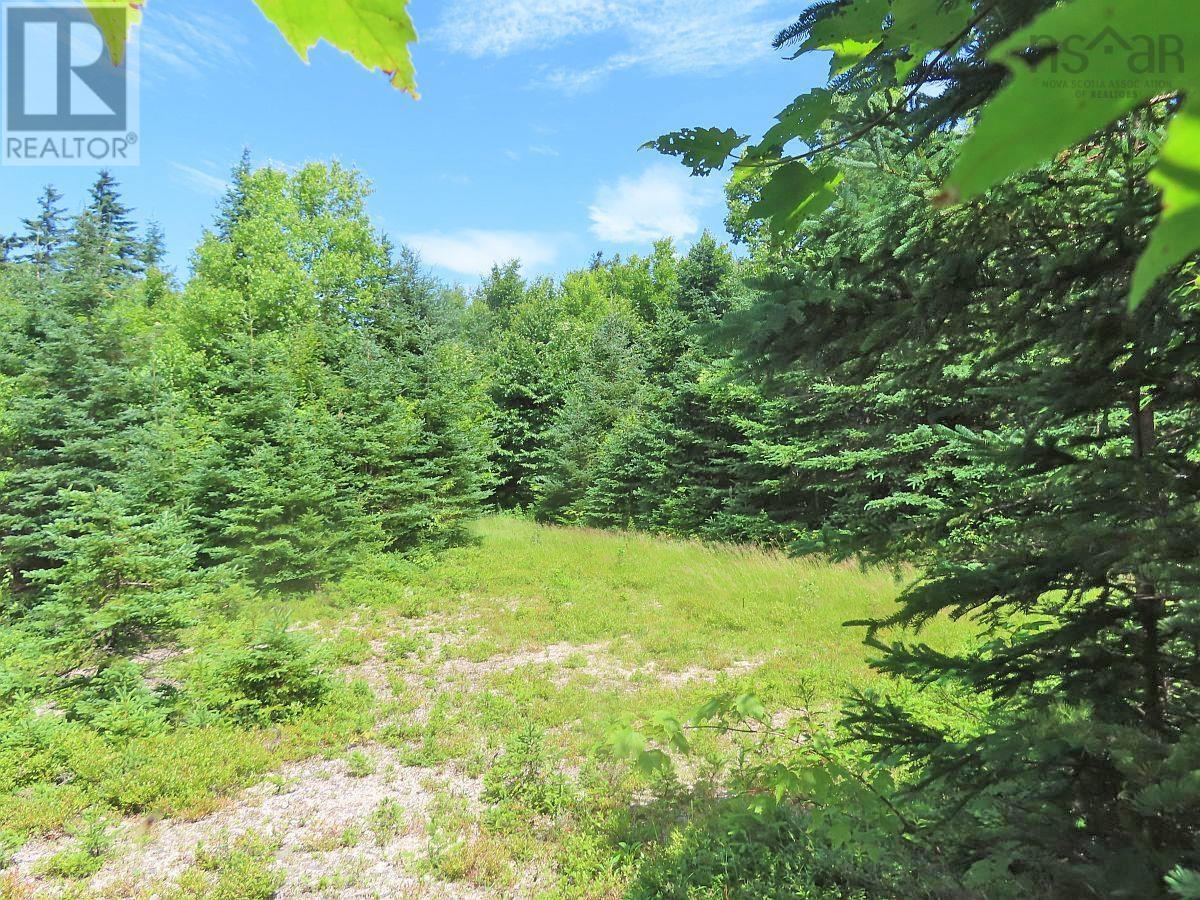 For sale: 310 Acres River Denys Mountain Road, Milford, Nova Scotia ...