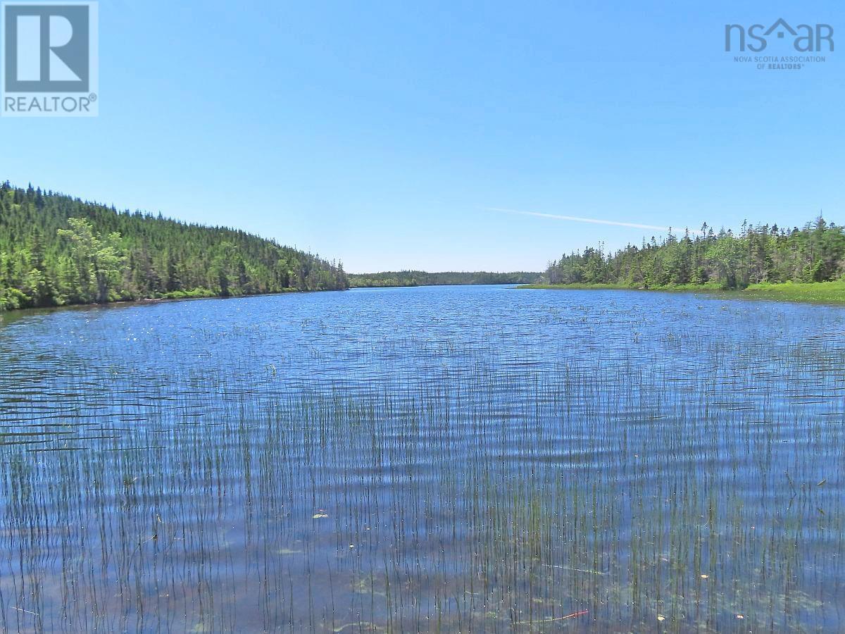 For sale 100 Acres Upper Grand Mira Road, Upper Grand Mira, Nova