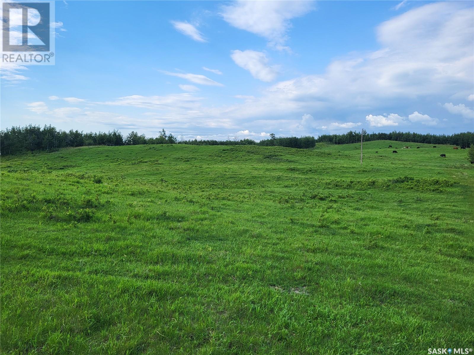 For sale: Mildred 2,186 Deeded & 2,072 Crown Lease acres, Spiritwood Rm ...