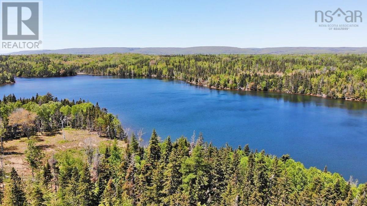 For sale 4.8 Acres Washabuck Road, Upper Washabuck, Nova Scotia B2C1L7