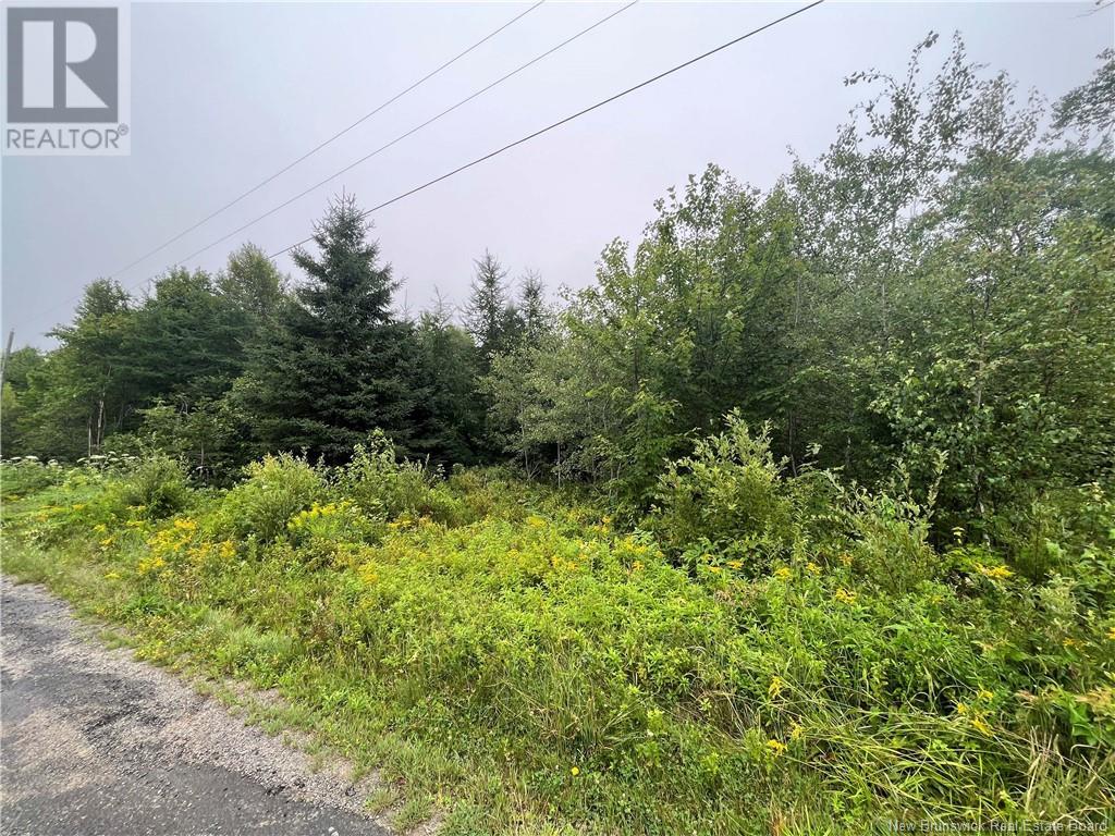 For sale: Lot 17-1 Green Hill Lake Road, Greenhill, New Brunswick ...