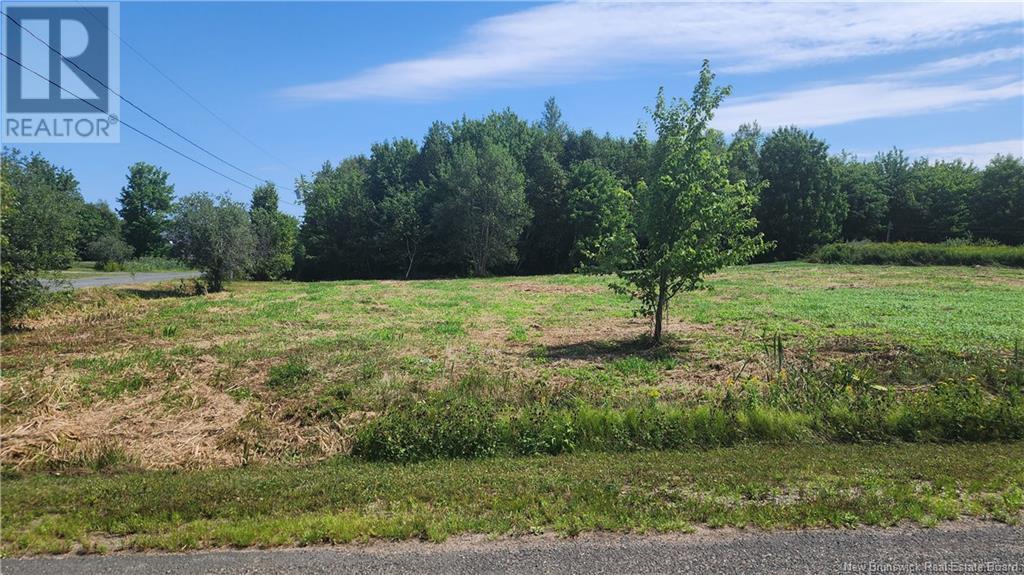 For sale Lot 131.1acres rue Jeaneau, Losier Settlement, New Brunswick