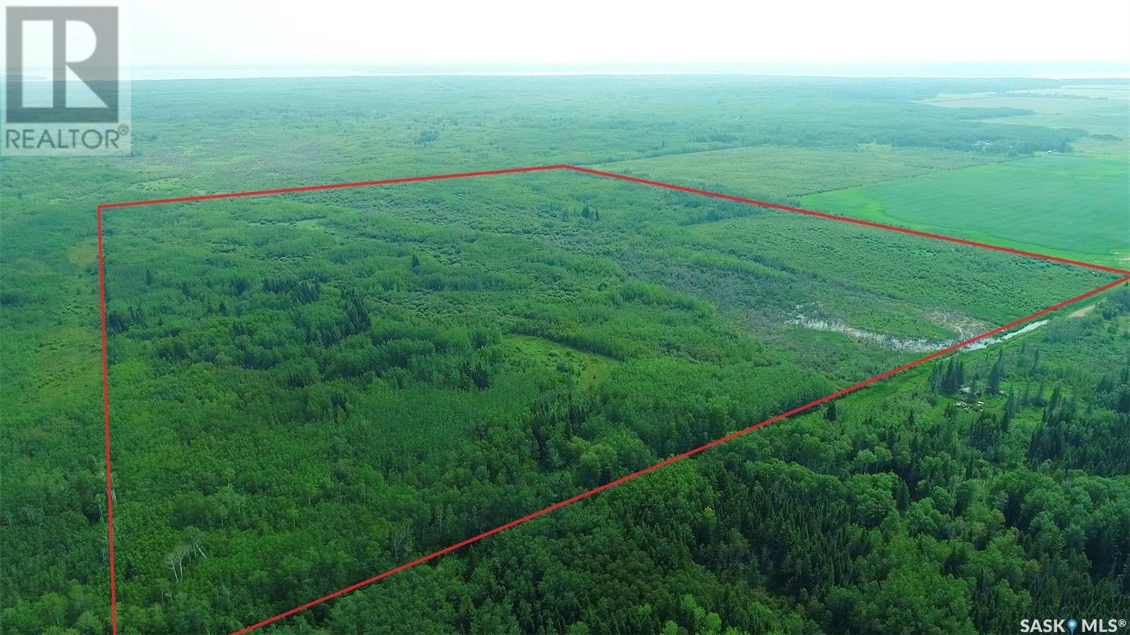 For sale Recreational land NE of White Fox, Torch River Rm No. 488