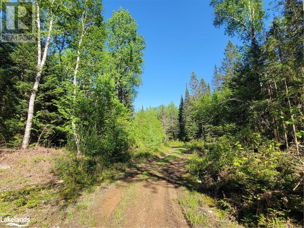 For sale 156 BUTTERFIELD Road, Powassan, Ontario P0H2L0 40553979