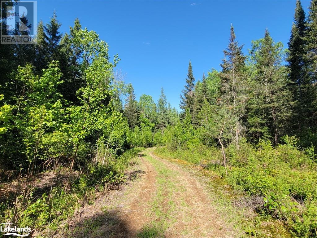 For sale 156 BUTTERFIELD Road, Powassan, Ontario P0H2L0 40553979