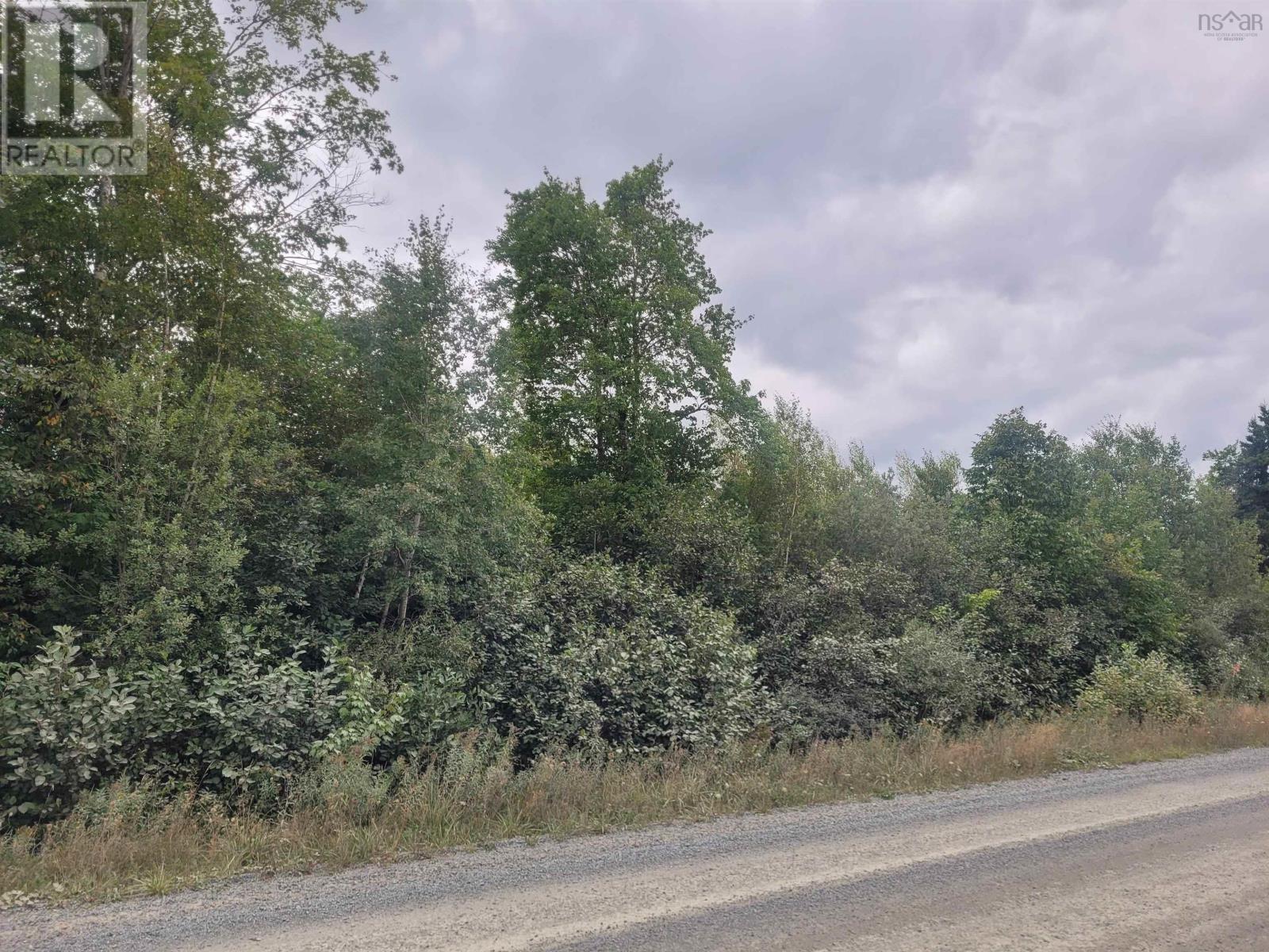 À vendre Lot 2 Blois Road, Macphees Corner, NouvelleÉcosse B2S1A2