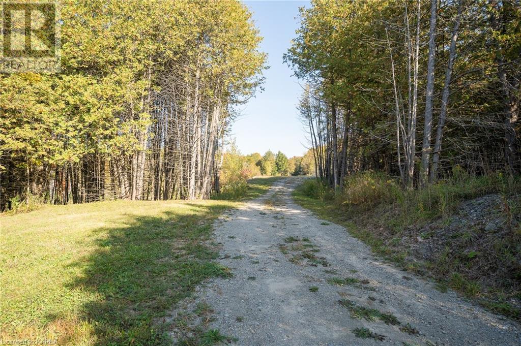 À vendre 3499 DELORO Road, Eldorado, Ontario K0K1Y0 40644925