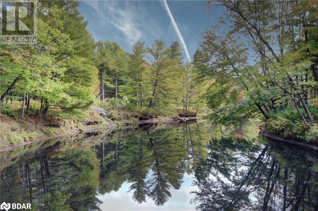 For sale 54 BLACK RIVER Road, Washago, Ontario L0K2B0 40654883