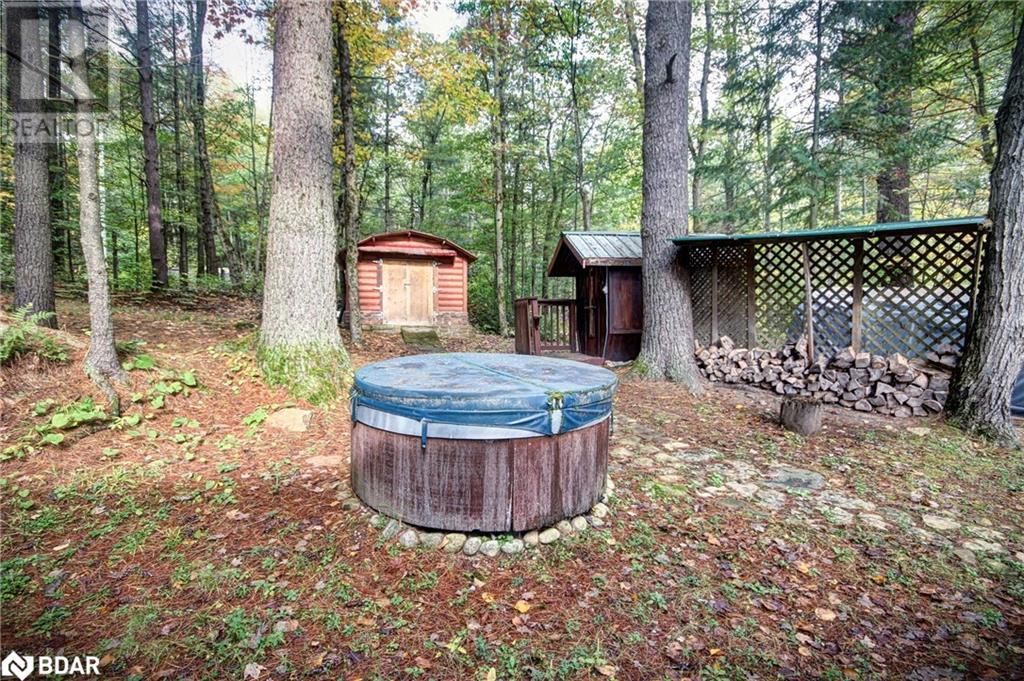 À vendre 54 BLACK RIVER Road, Washago, Ontario L0K2B0 40654883