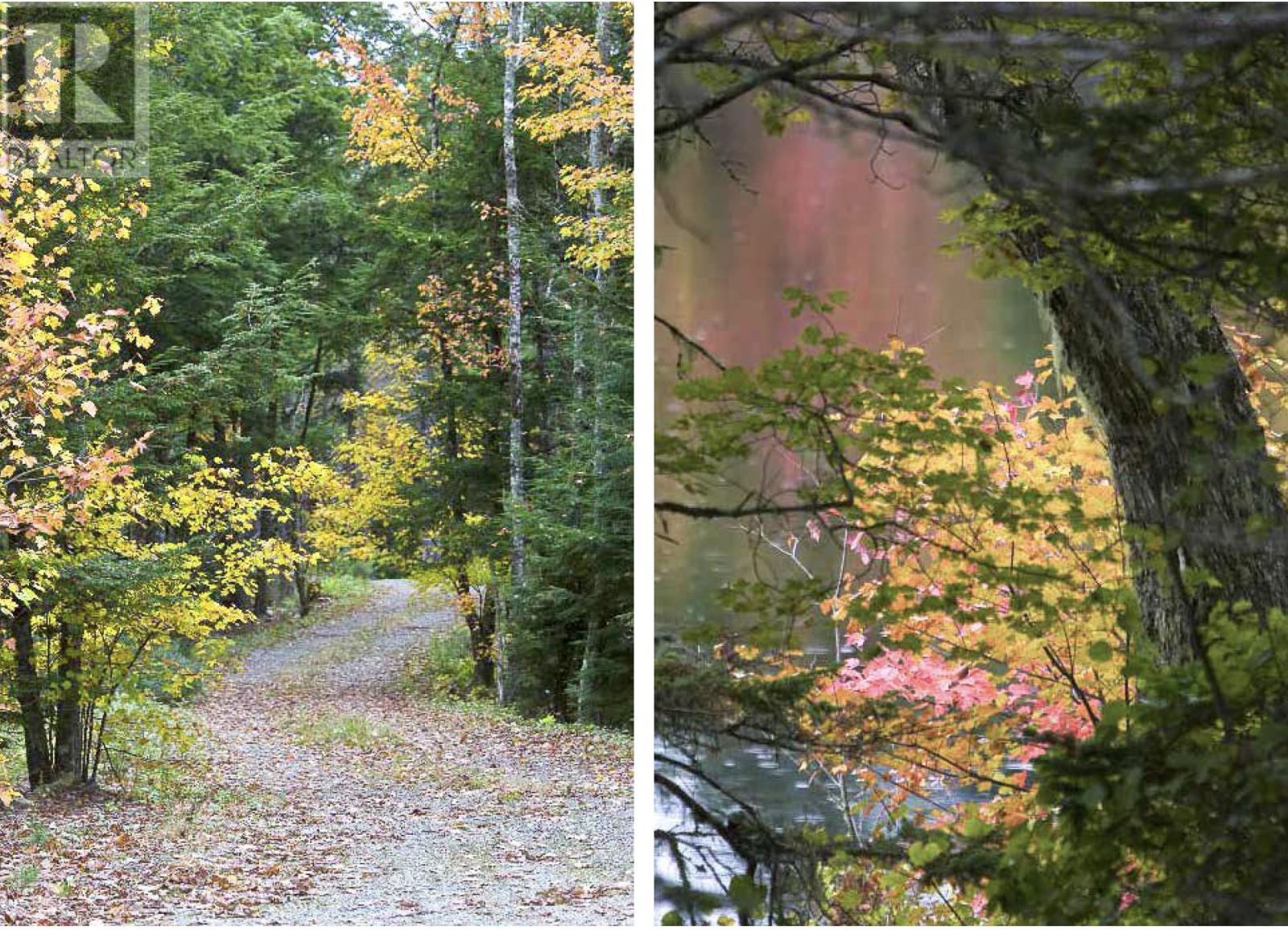 À vendre Lot Peters Drive, Upper Ohio, NouvelleÉcosse B0T1W0