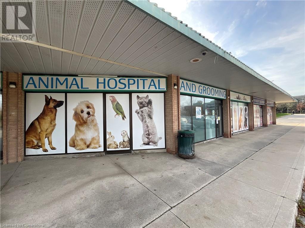 Veterinary Clinic Vca Sunset Sunset Vet Clinic Cat Clinic Sunset