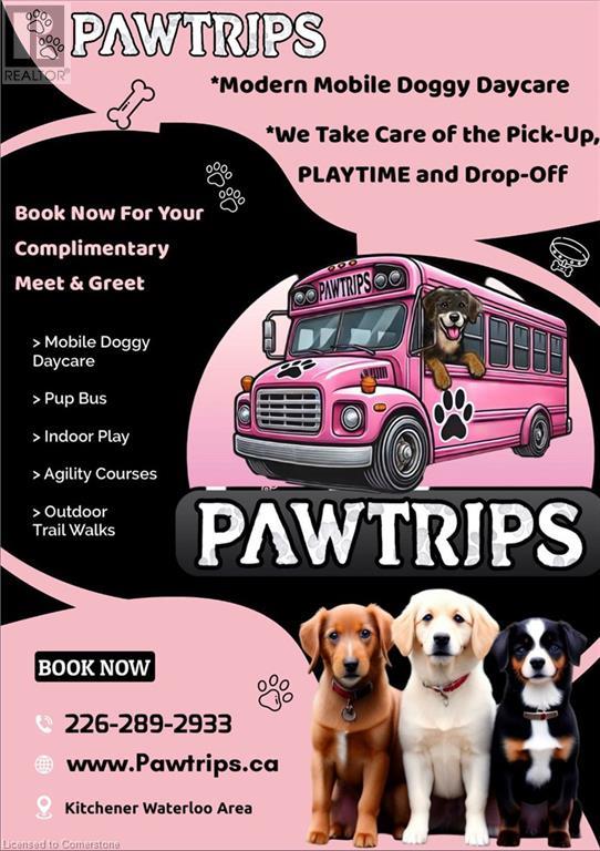 Cat Boarding Doggy Daycare And Boarding Near Me Boarding Facility