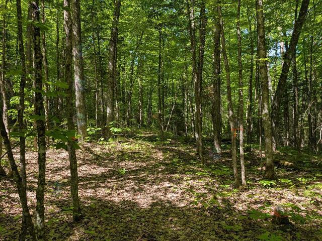 For sale: 27 Ch. Bernier, La Pêche, Quebec J0X1S0 - 13570498