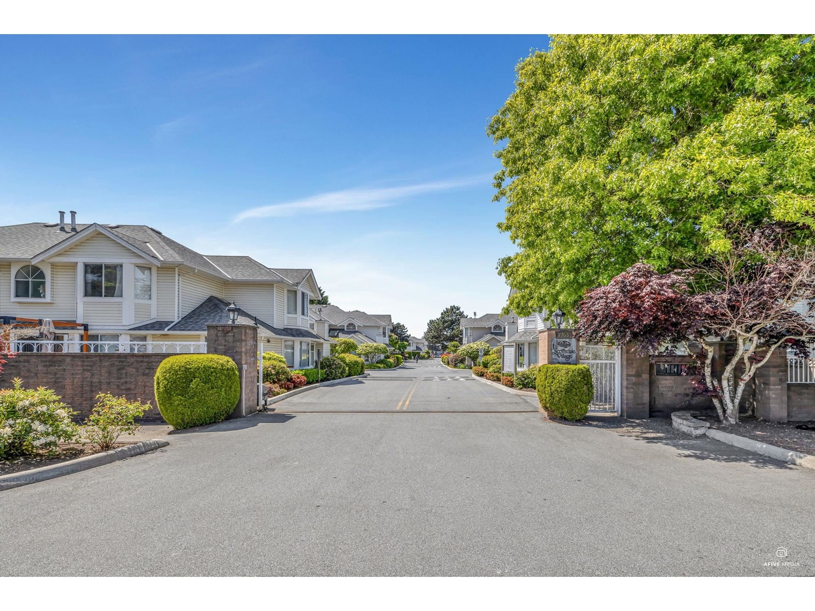 ◆Haku72◆ 1141492-NSSO_1.png?_s=RAABAB0