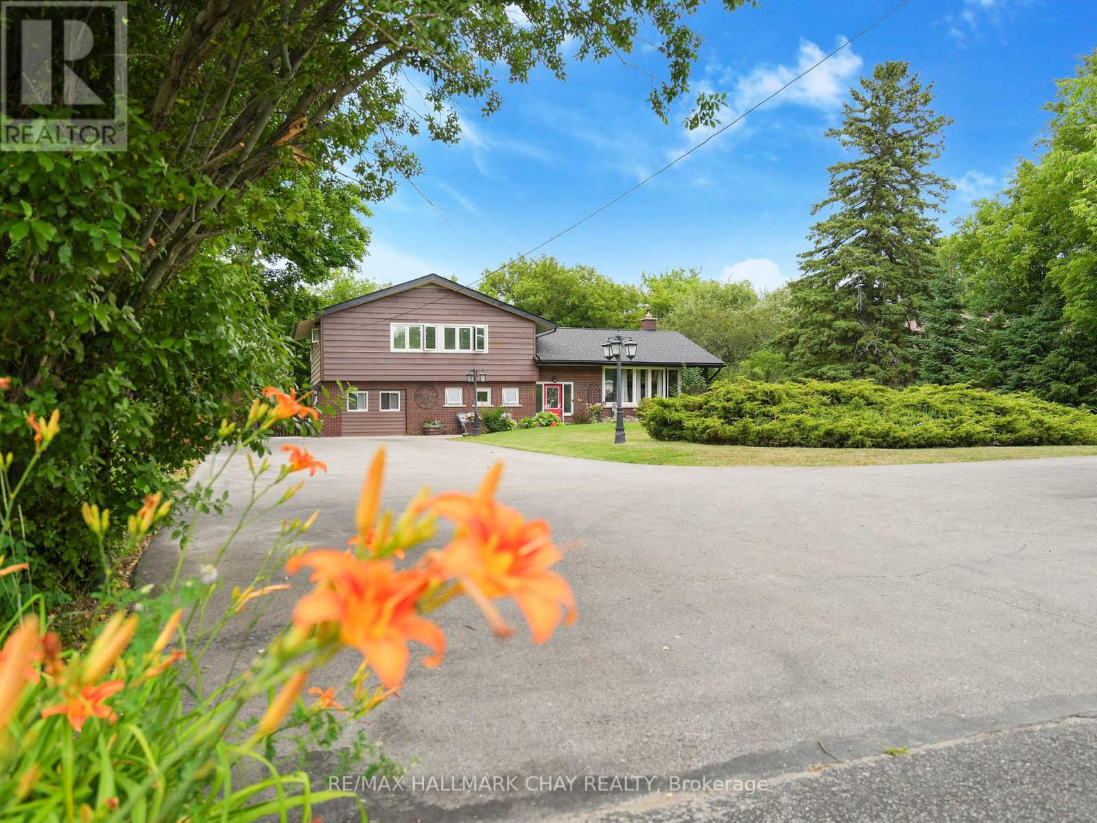 茶 LE st Chuck Taylor All Star Malden Street Low Top | Converse Canada