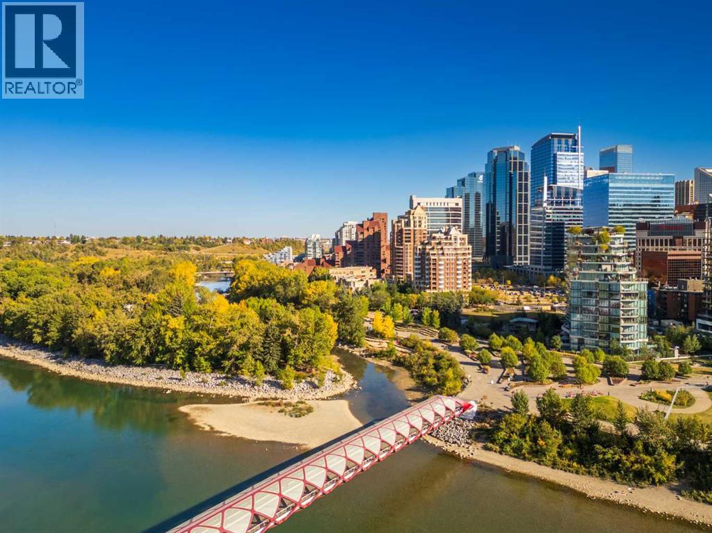 Apartment for Sale in 1201, 690 Princeton Way SW|Calgary, Alberta T2P5J9 4