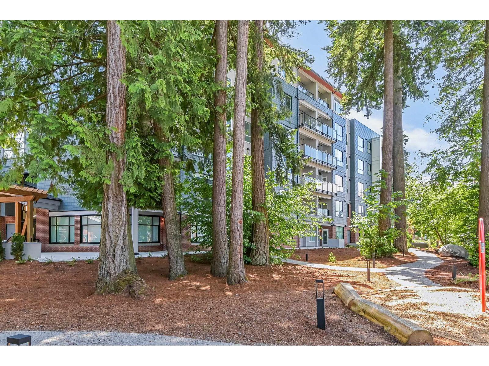 たいたい Motorcycle Accessories Compatible with Kawasaki Z800 Z 800