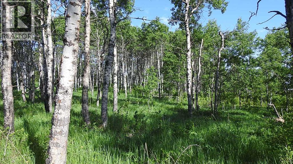 Property for Sale in 79.41 Acres SE-13-22-3W5|Rural Foothills County, Alberta T1S2T7 3