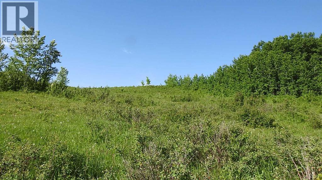 Property for Sale in 79.41 Acres SE-13-22-3W5|Rural Foothills County, Alberta T1S2T7 4