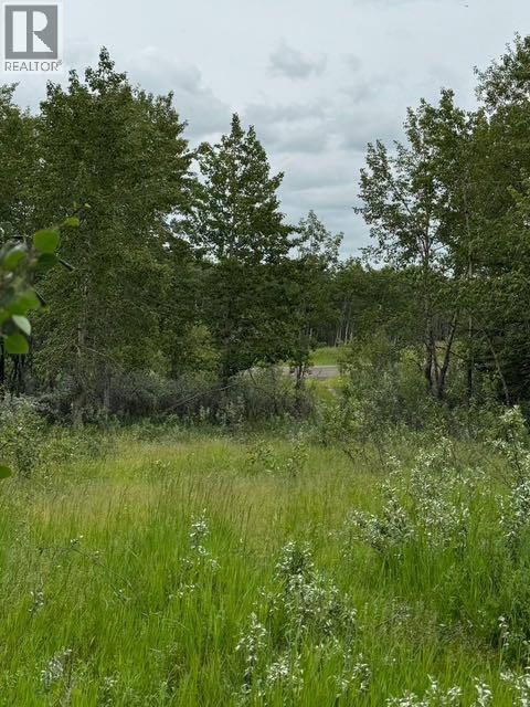 Property for Sale in 48107 233 Avenue East|Rural Foothills County, Alberta T1S4B1 4