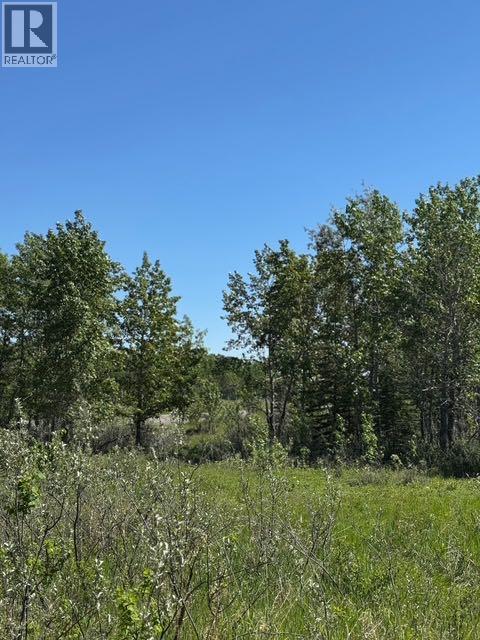 Property for Sale in 48107 233 Avenue East|Rural Foothills County, Alberta T1S4B1 5
