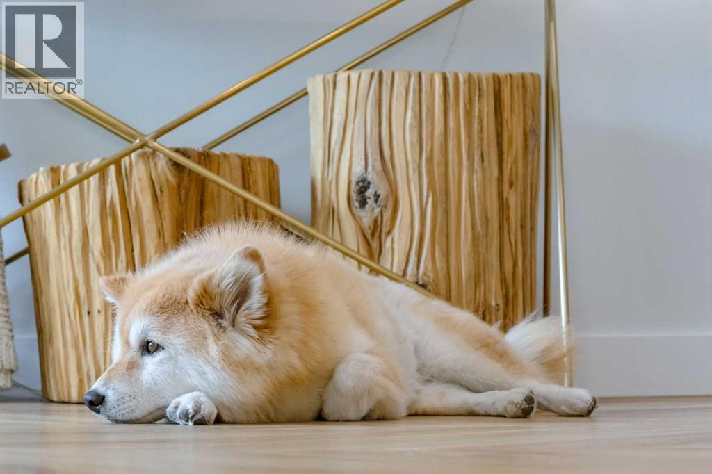 Apartment for Sale in 110, 8445 Broadcast Avenue SW|Calgary, Alberta T3H4C7 4