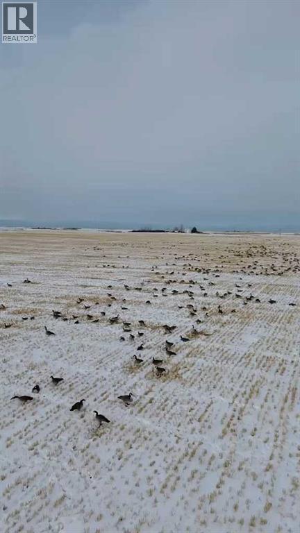 Property for Sale in 13971 15 Street NE|Calgary, Alberta T3P2H7 3