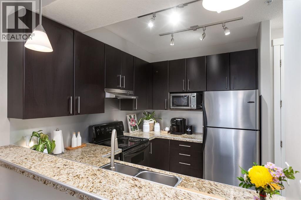 Apartment for Sale in 309, 880 Centre Avenue NE|Calgary, Alberta T2E9C3 4