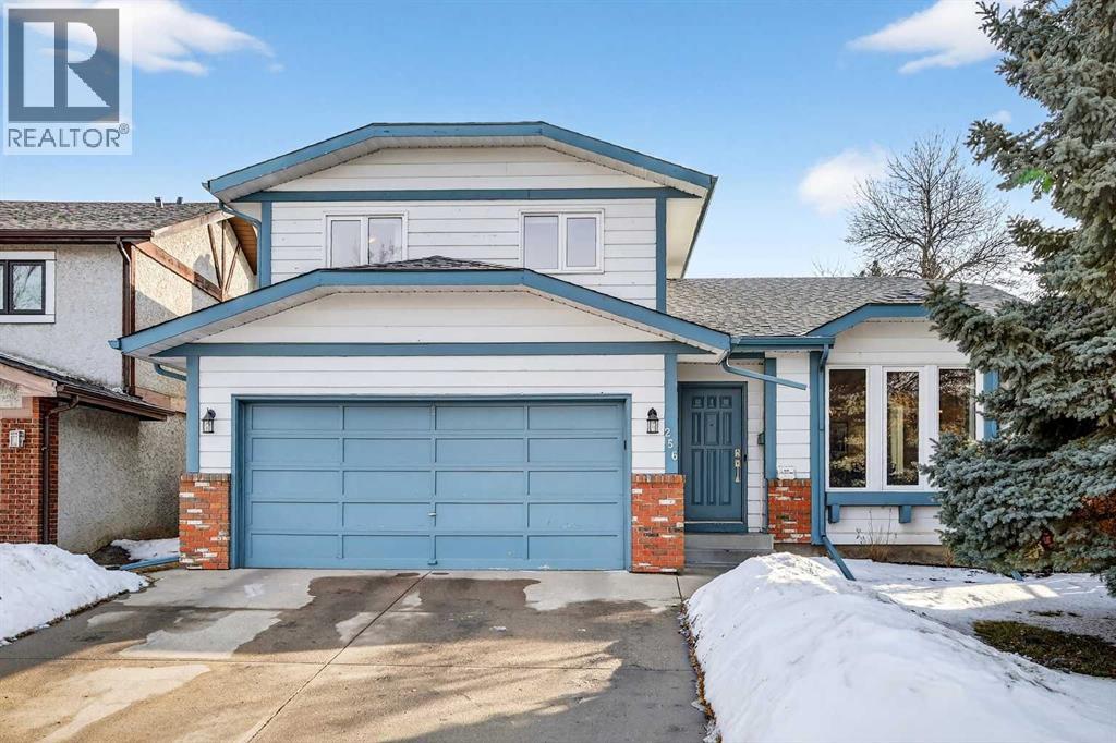 House for Sale in 256 Sunmills Place SE|Calgary, Alberta T2X2P2 2