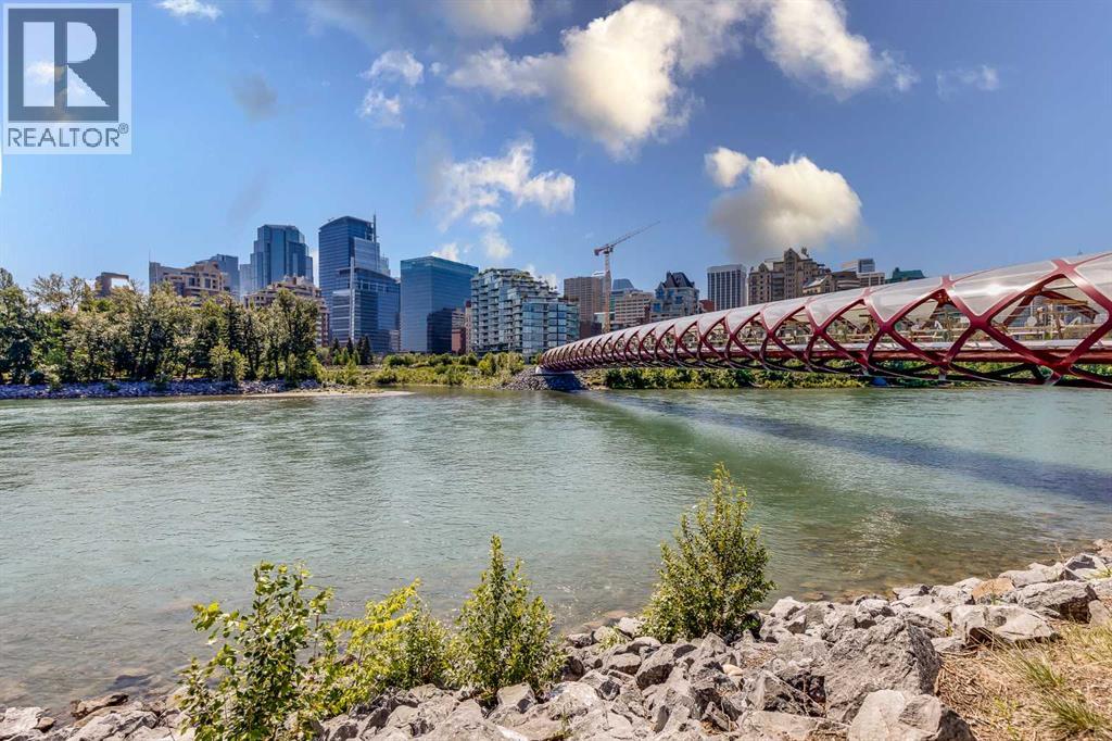 Apartment for Sale in 417, 738 3 Avenue SW|Calgary, Alberta T2P0J7