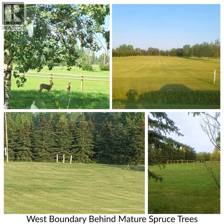 Property for Sale in 284A Range Road|Rural Rocky View County, Alberta T3S0A6 5