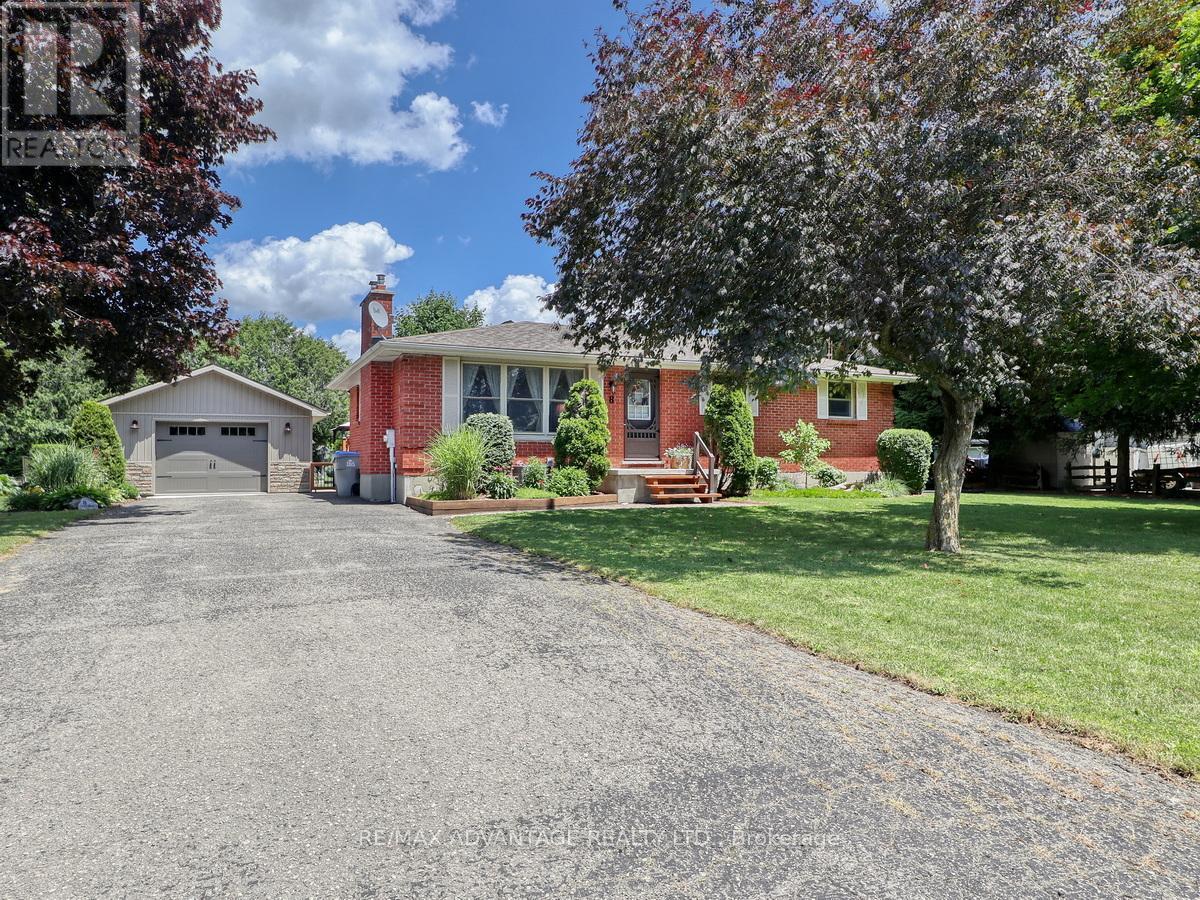 8 EAST WILLIAMS STREET, North Middlesex (Ailsa Craig)
