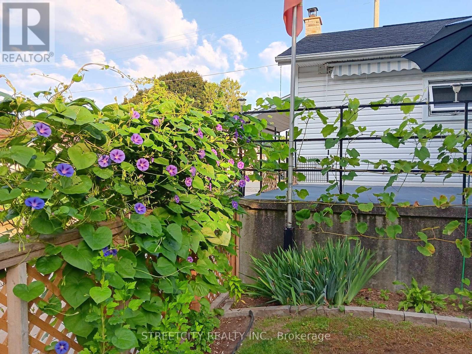 156 MAPLE STREET, West Elgin (Rodney)