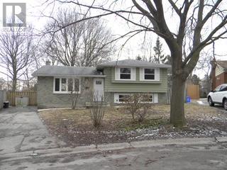 120 PAPERBIRCH CRESCENT, London North (North K)