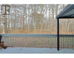 363 SHANNON BOULEVARD - 35