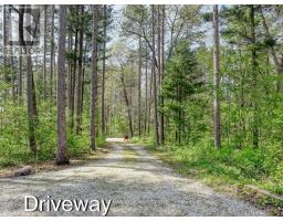10404 PINETREE DRIVE - 47
