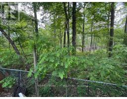 37 - 22790 AMIENS ROAD - 17