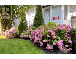 3270 COLIN STREET - 46
