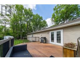 10234 JULIE AVENUE - 8